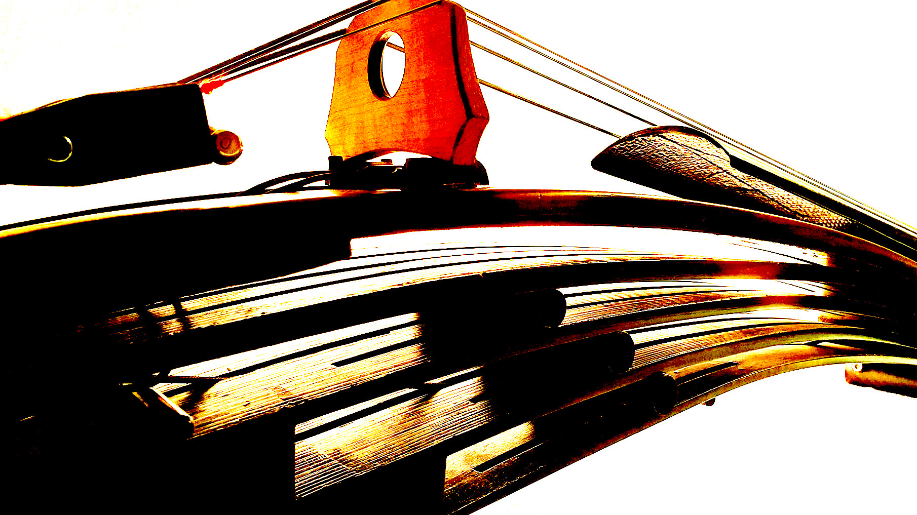 body design header image